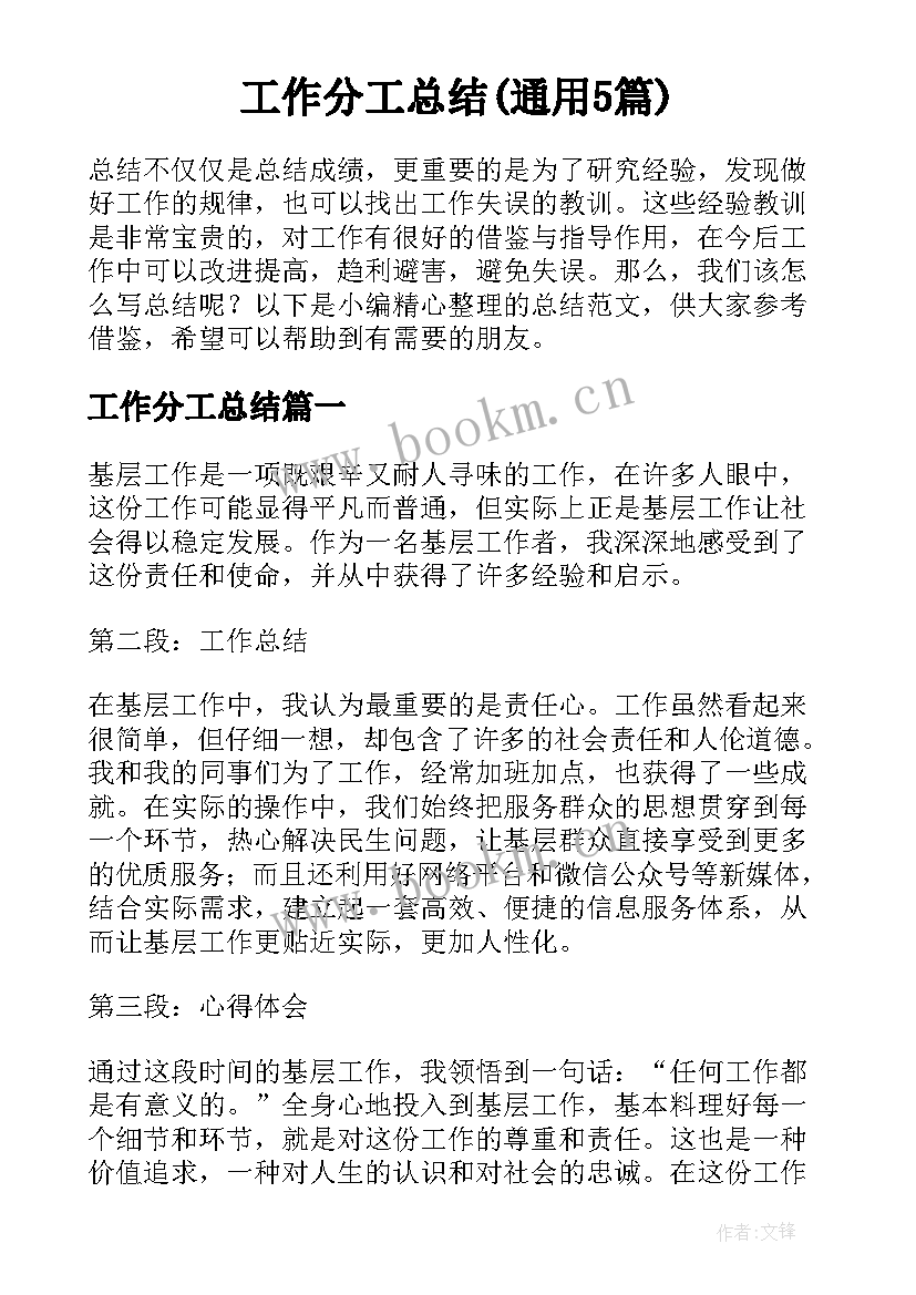 工作分工总结(通用5篇)