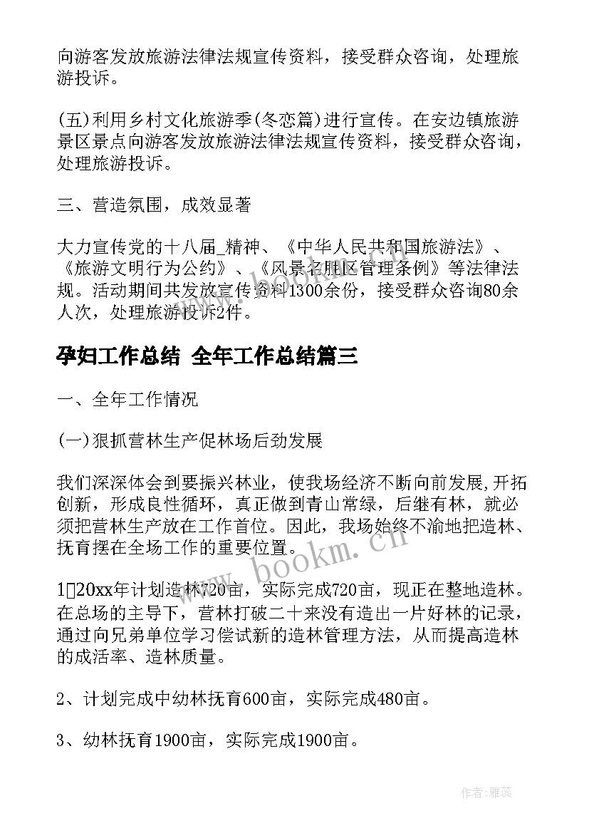 2023年孕妇工作总结 全年工作总结(优质10篇)