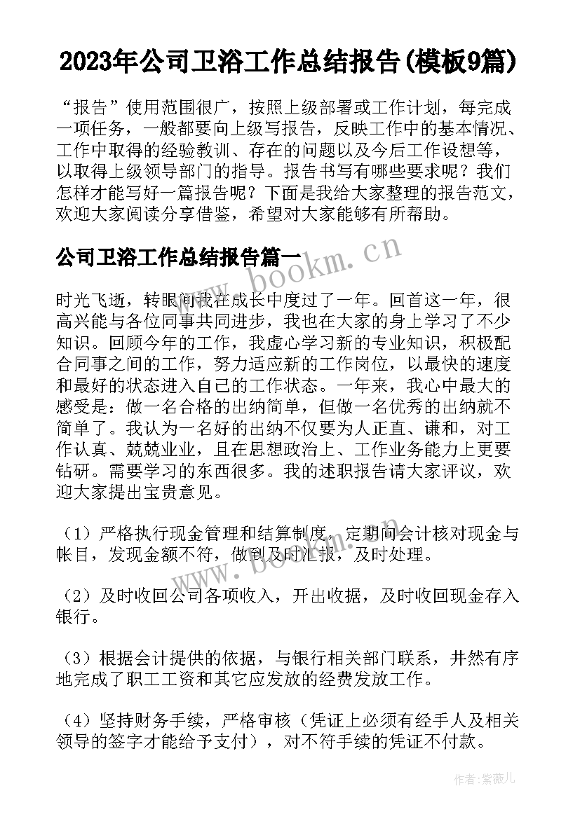 2023年公司卫浴工作总结报告(模板9篇)