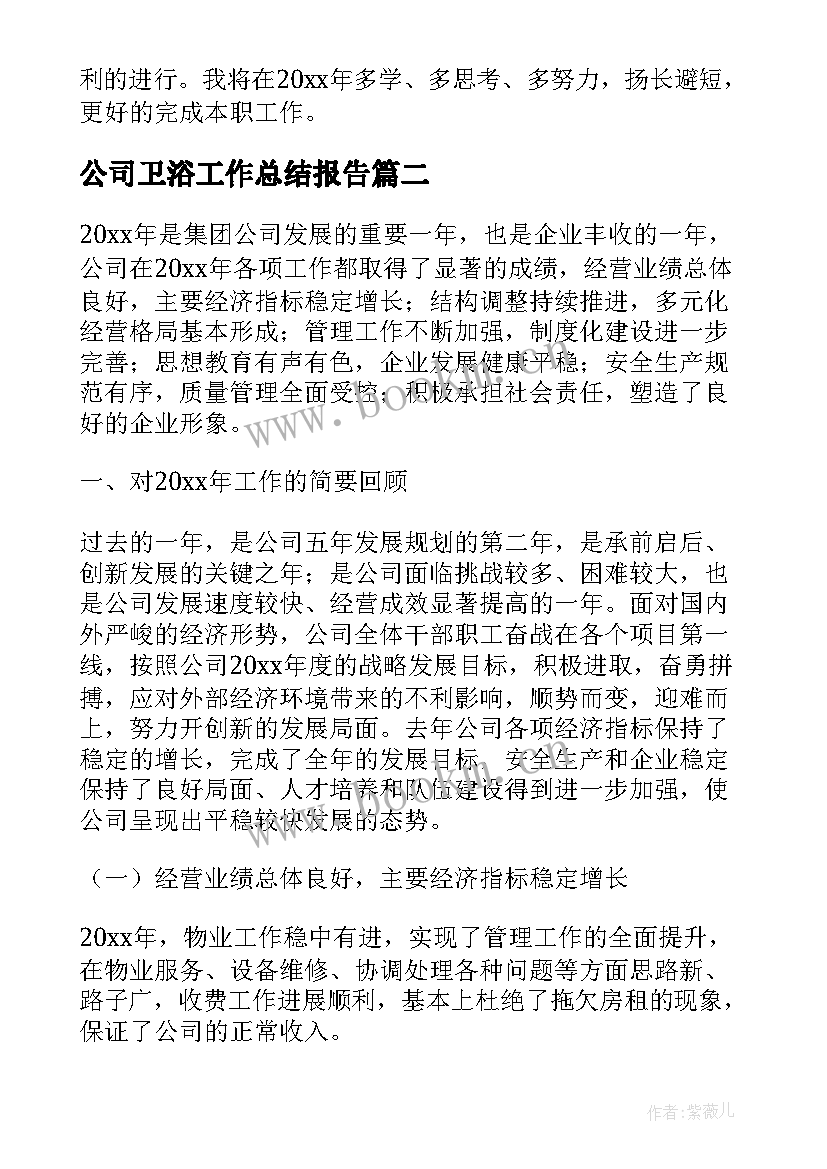 2023年公司卫浴工作总结报告(模板9篇)