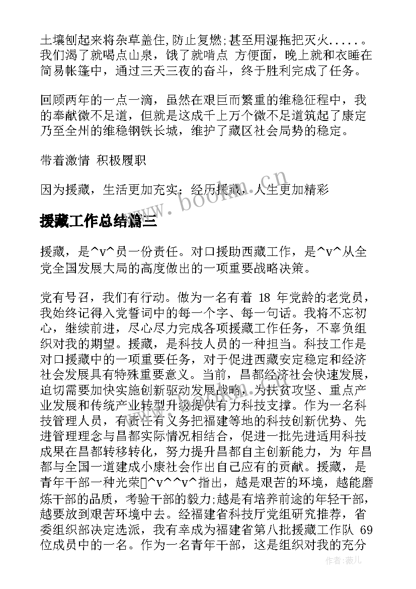 2023年援藏工作总结(实用5篇)