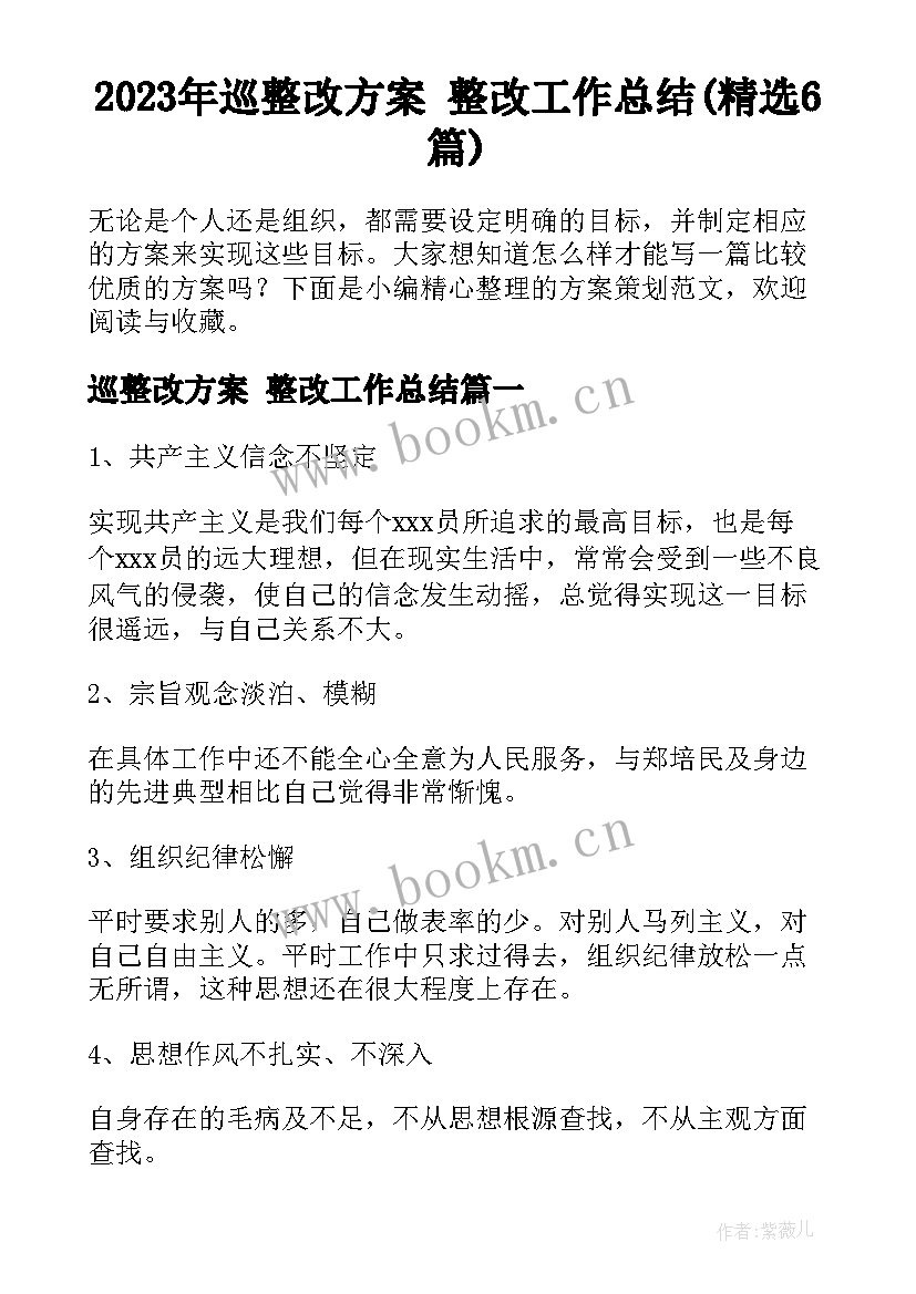 2023年巡整改方案 整改工作总结(精选6篇)