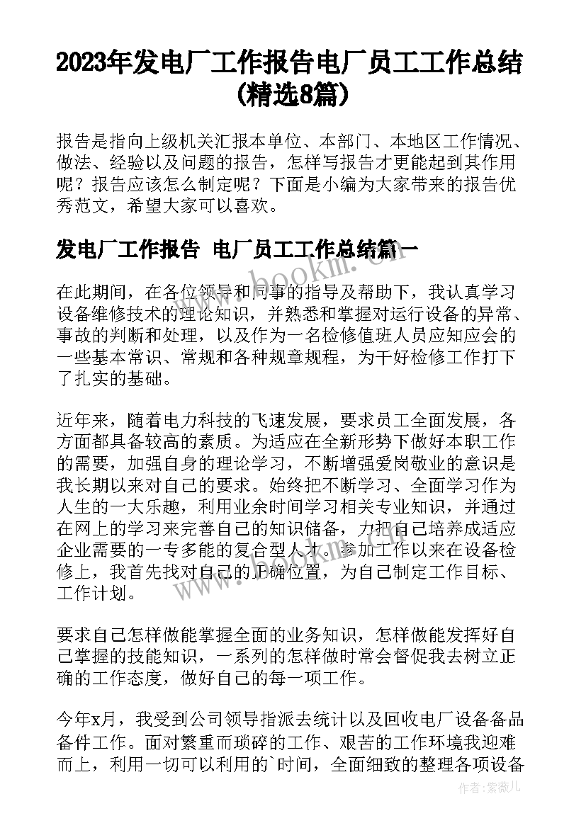 2023年发电厂工作报告 电厂员工工作总结(精选8篇)