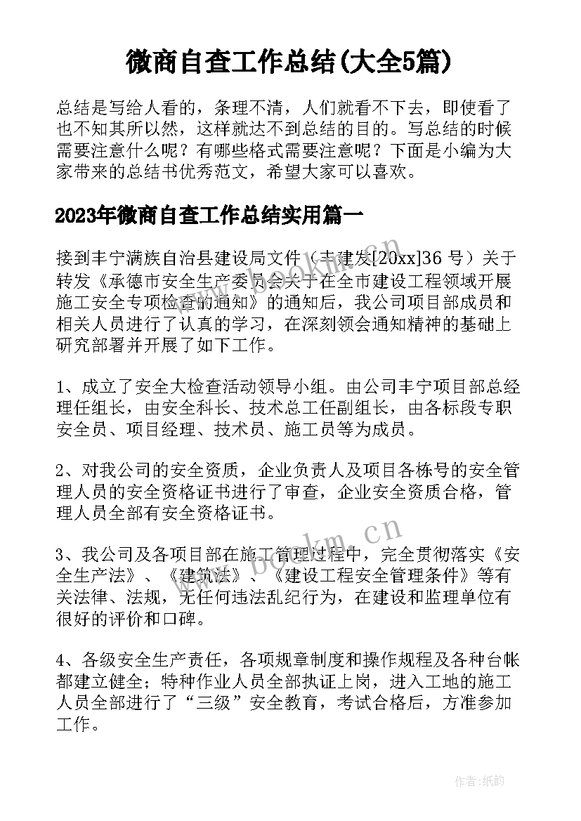 微商自查工作总结(大全5篇)