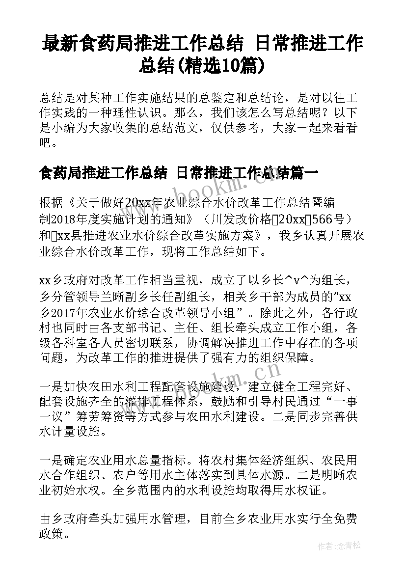 最新食药局推进工作总结 日常推进工作总结(精选10篇)