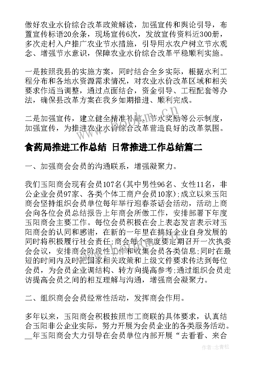 最新食药局推进工作总结 日常推进工作总结(精选10篇)