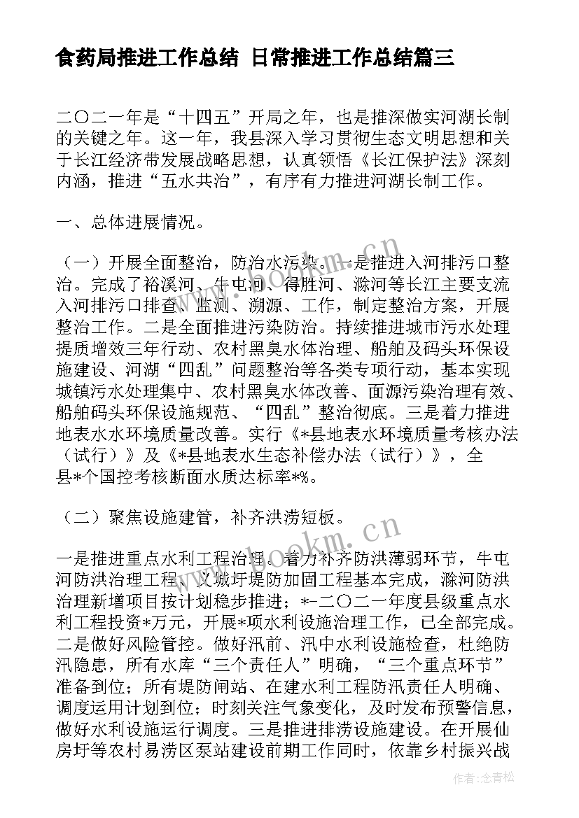 最新食药局推进工作总结 日常推进工作总结(精选10篇)