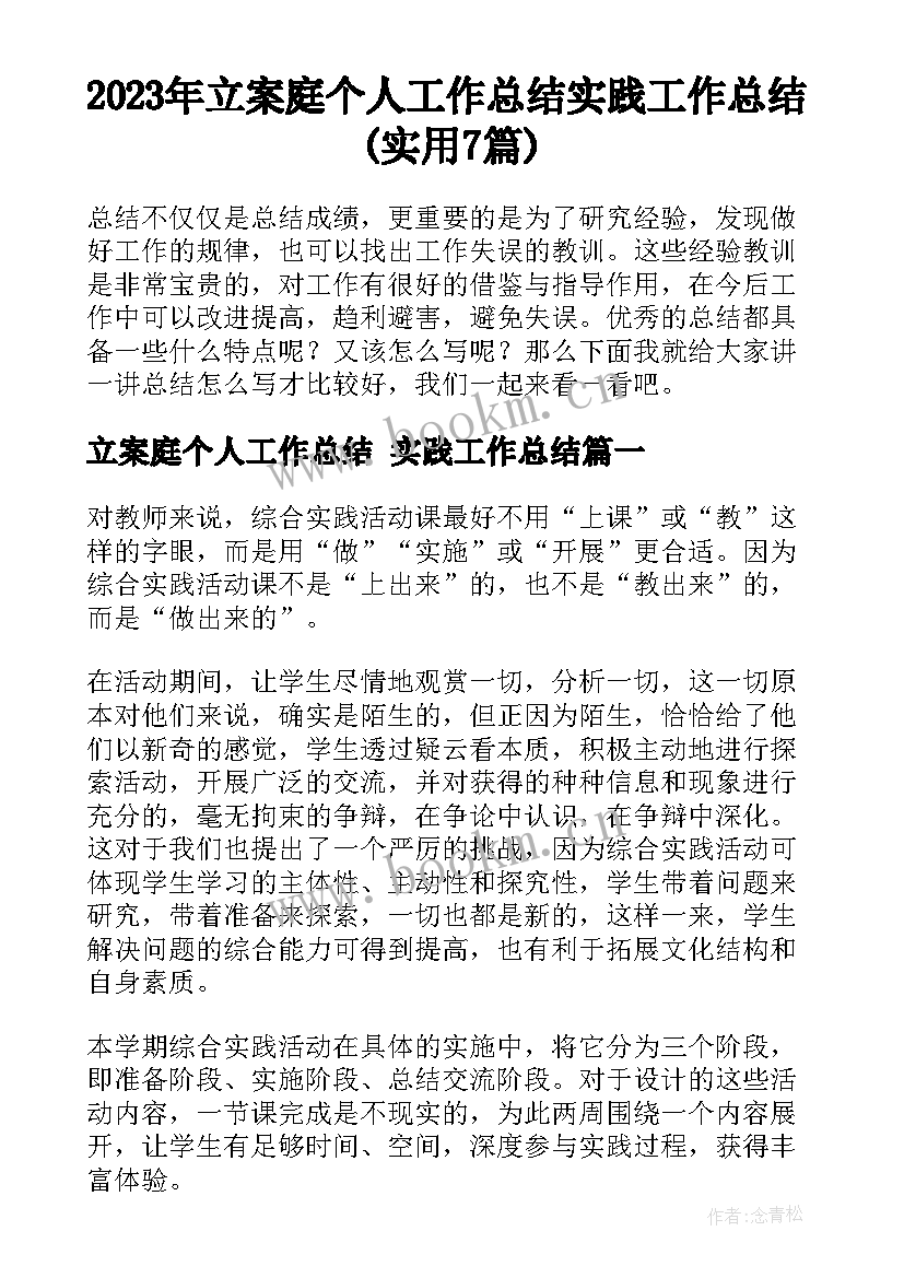 2023年立案庭个人工作总结 实践工作总结(实用7篇)