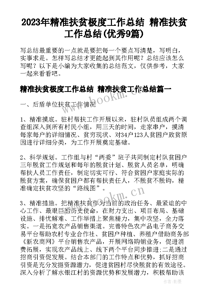 2023年精准扶贫极度工作总结 精准扶贫工作总结(优秀9篇)