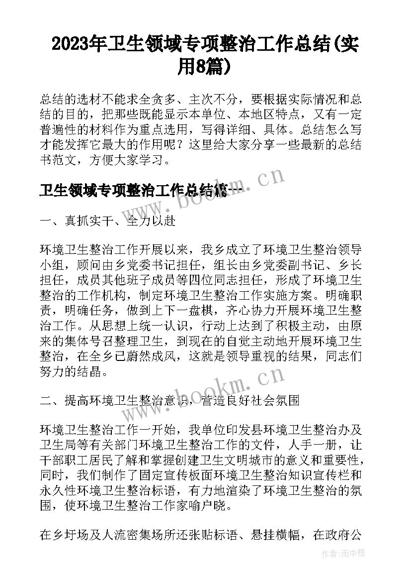 2023年卫生领域专项整治工作总结(实用8篇)