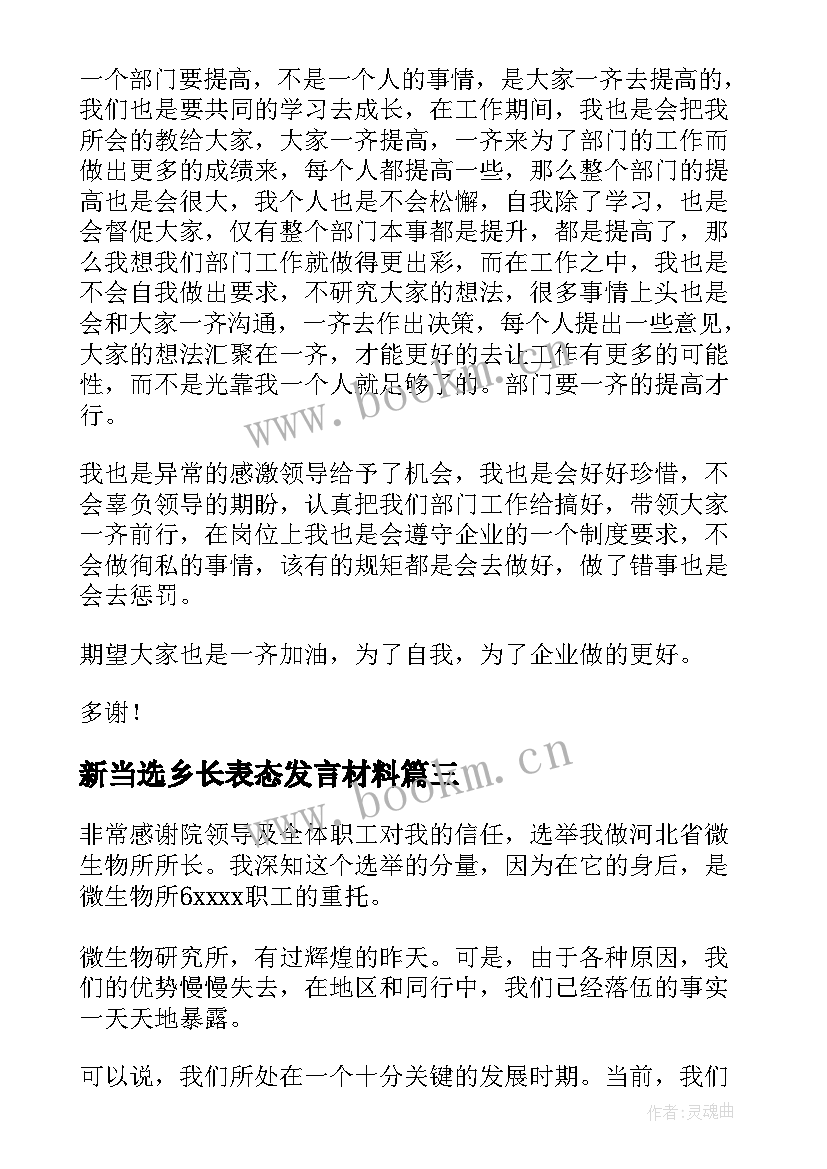 新当选乡长表态发言材料(优质10篇)