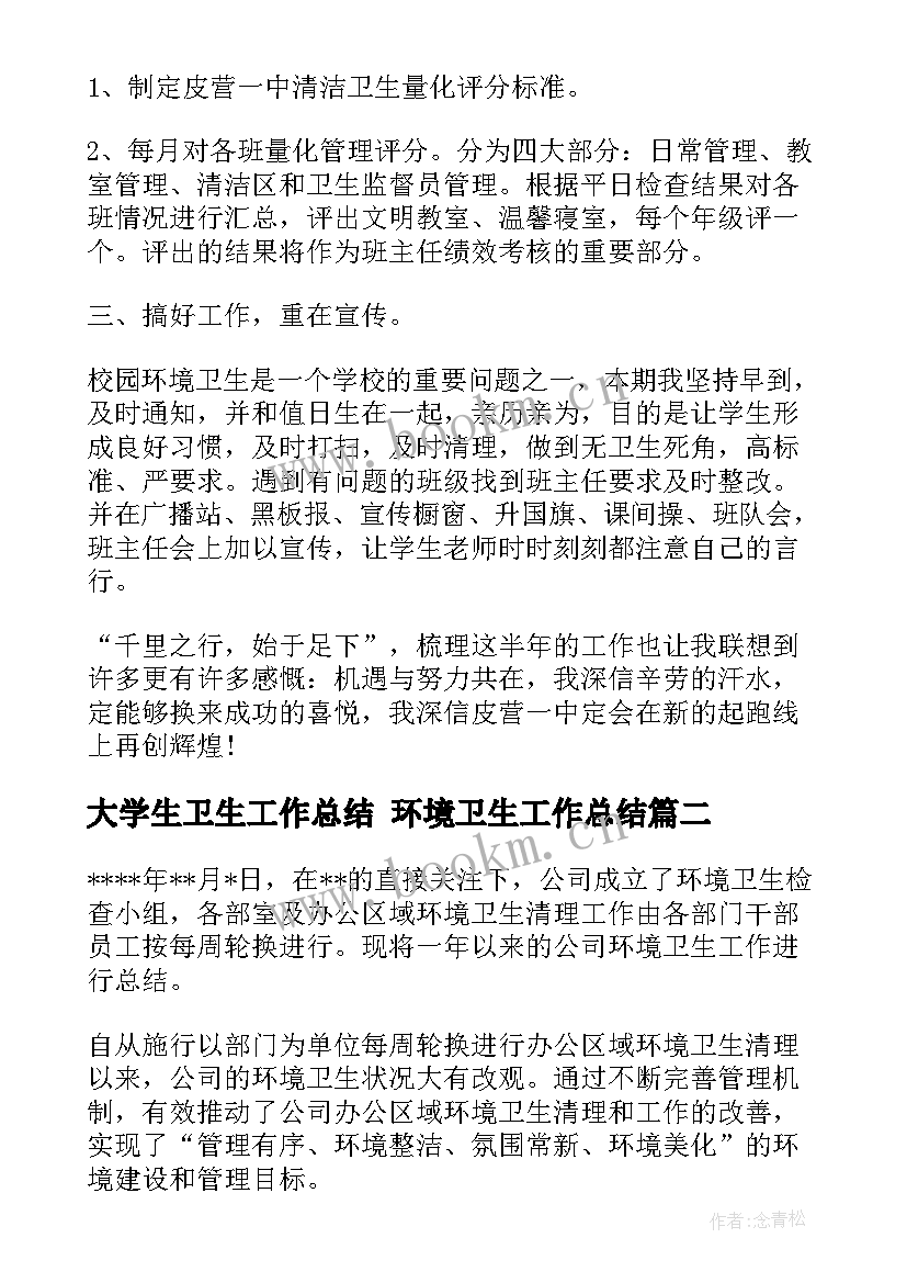 最新大学生卫生工作总结 环境卫生工作总结(模板9篇)