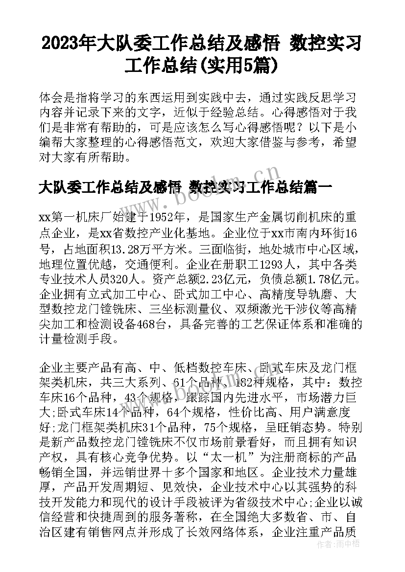 2023年大队委工作总结及感悟 数控实习工作总结(实用5篇)