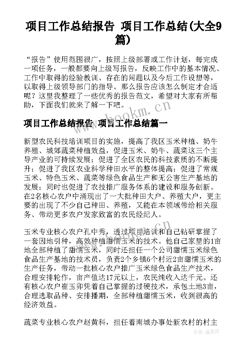 项目工作总结报告 项目工作总结(大全9篇)