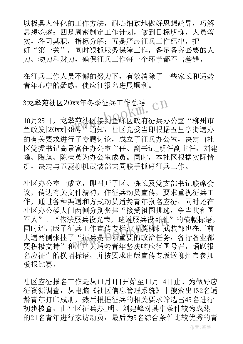 公安征兵政审工作总结(大全5篇)