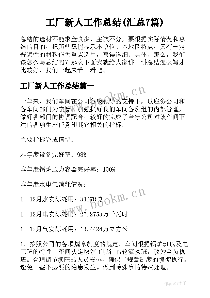 工厂新人工作总结(汇总7篇)