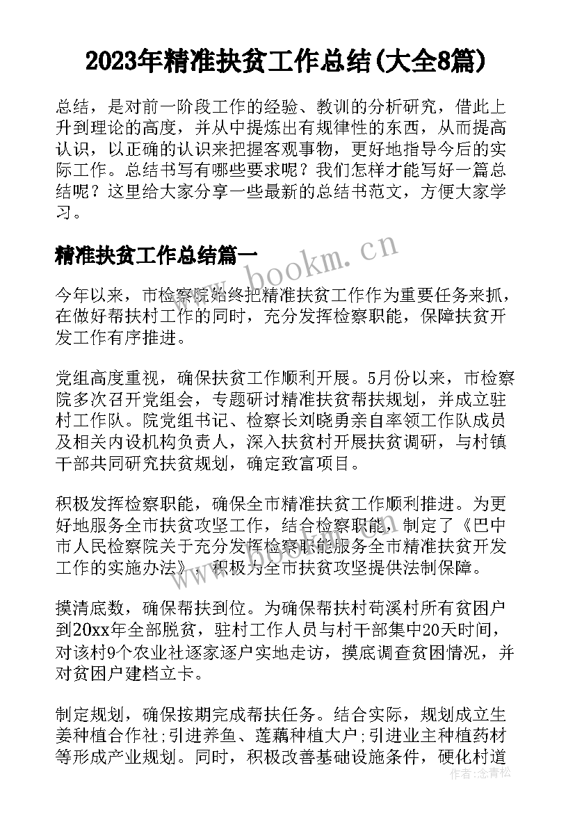 2023年精准抉贫工作总结(大全8篇)