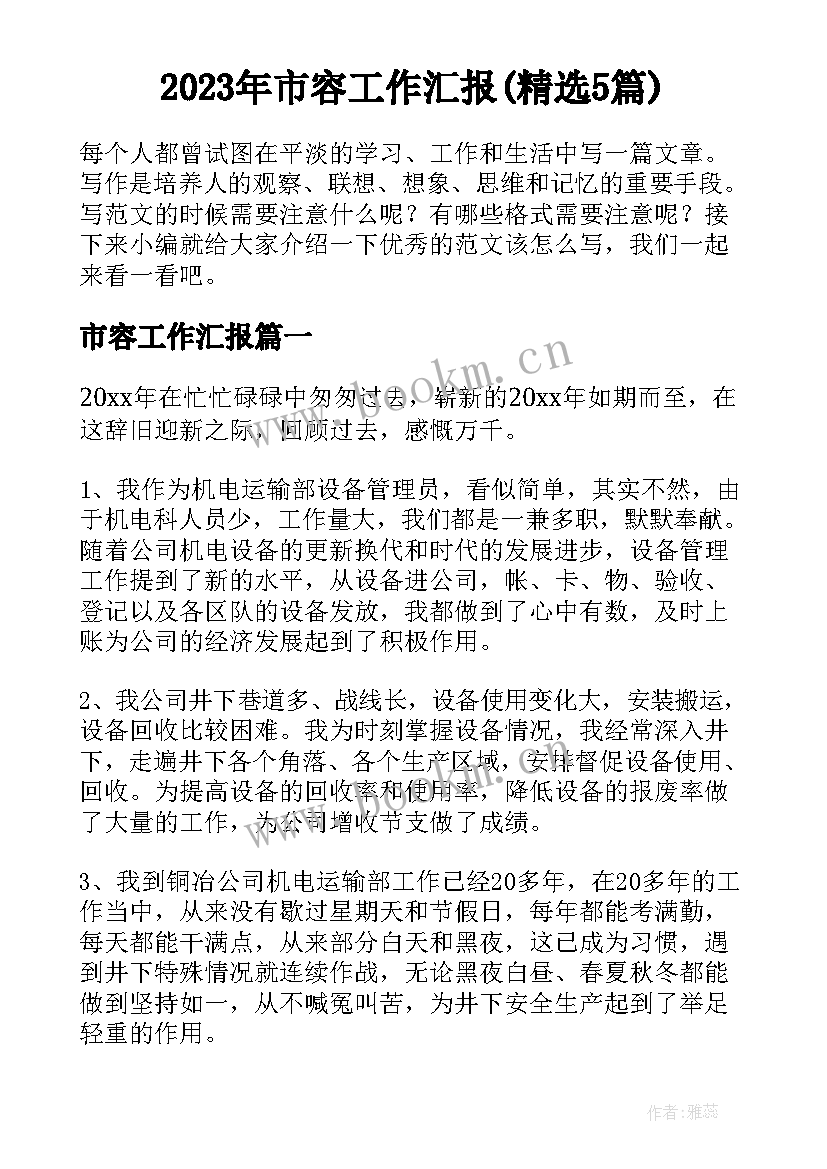 2023年市容工作汇报(精选5篇)