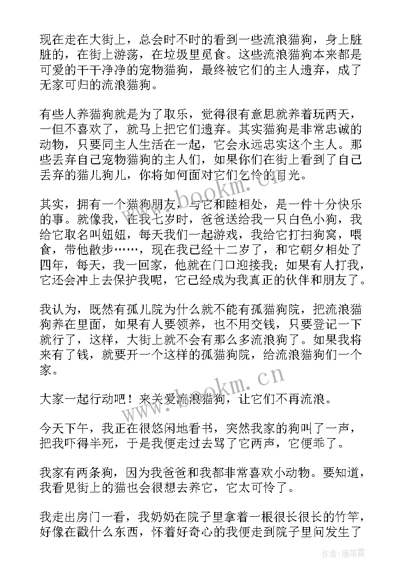 2023年流浪汉演讲稿(通用9篇)