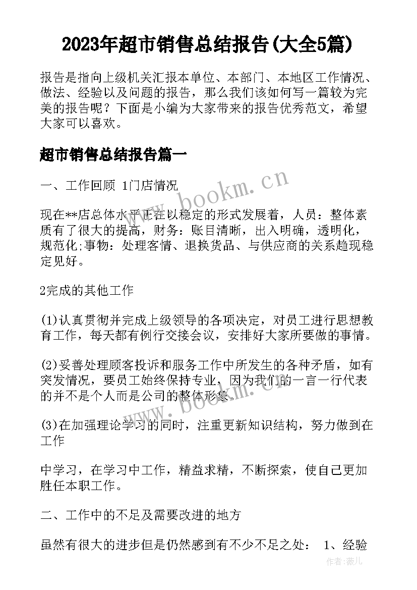 2023年超市销售总结报告(大全5篇)