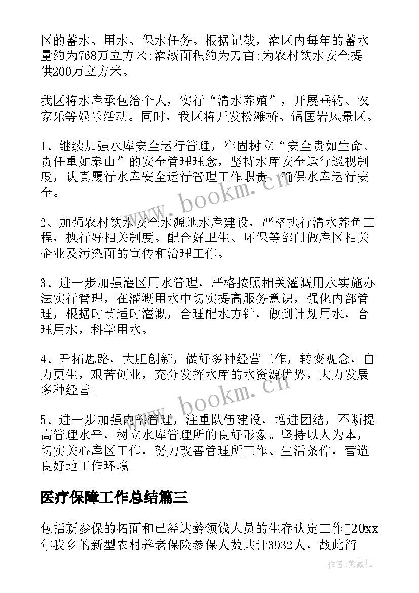 2023年医疗保障工作总结(精选6篇)