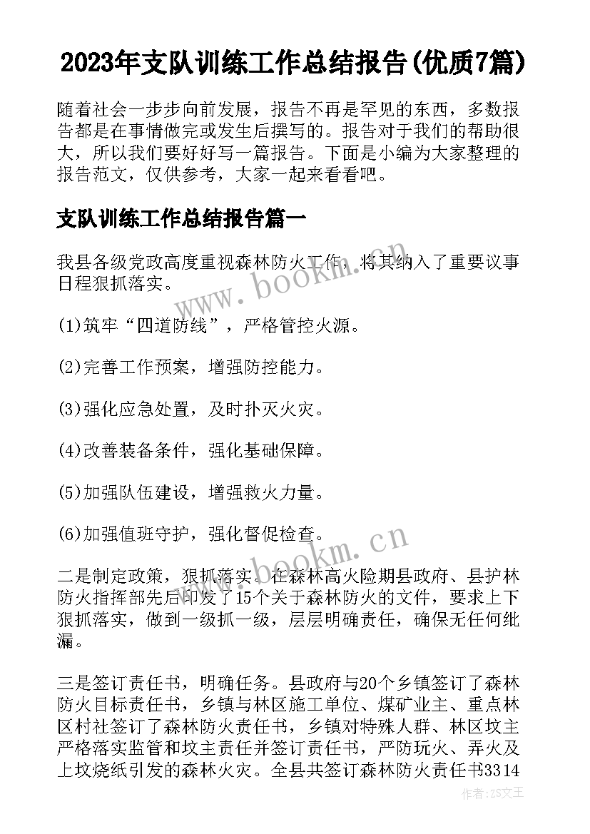 2023年支队训练工作总结报告(优质7篇)