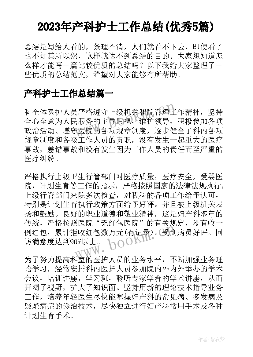 2023年产科护士工作总结(优秀5篇)