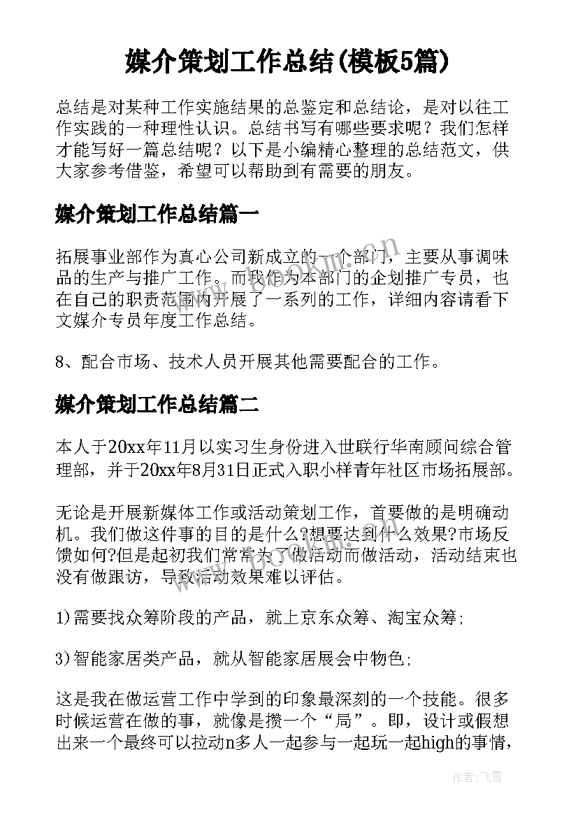 媒介策划工作总结(模板5篇)