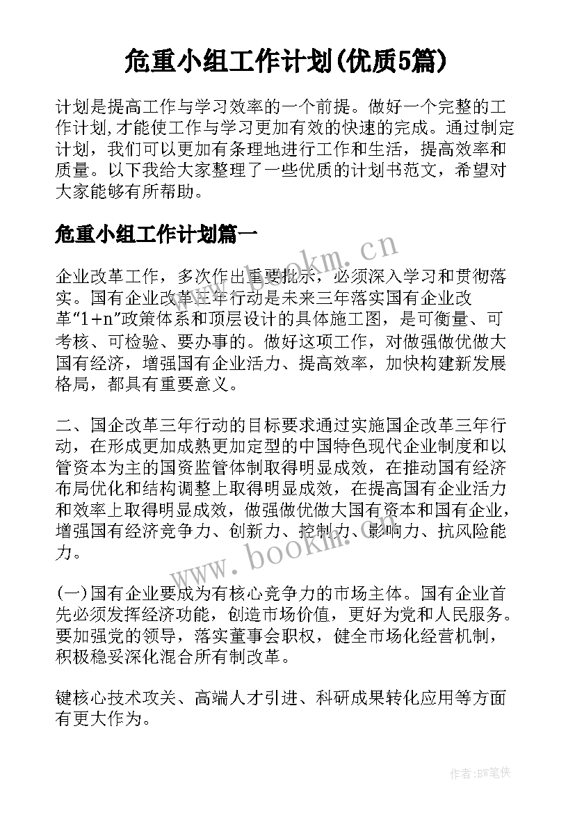 危重小组工作计划(优质5篇)