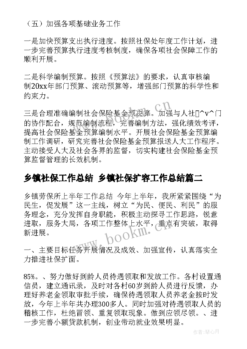 乡镇社保工作总结 乡镇社保扩容工作总结(实用5篇)