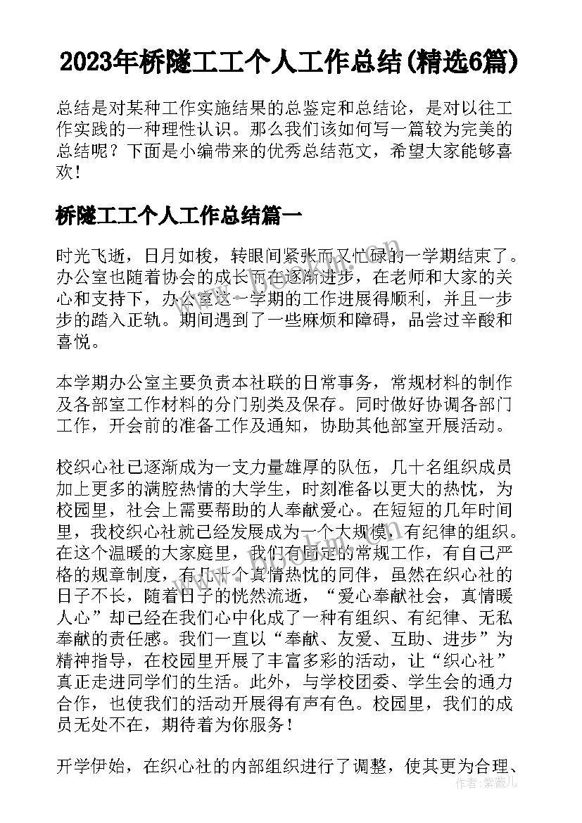 2023年桥隧工工个人工作总结(精选6篇)