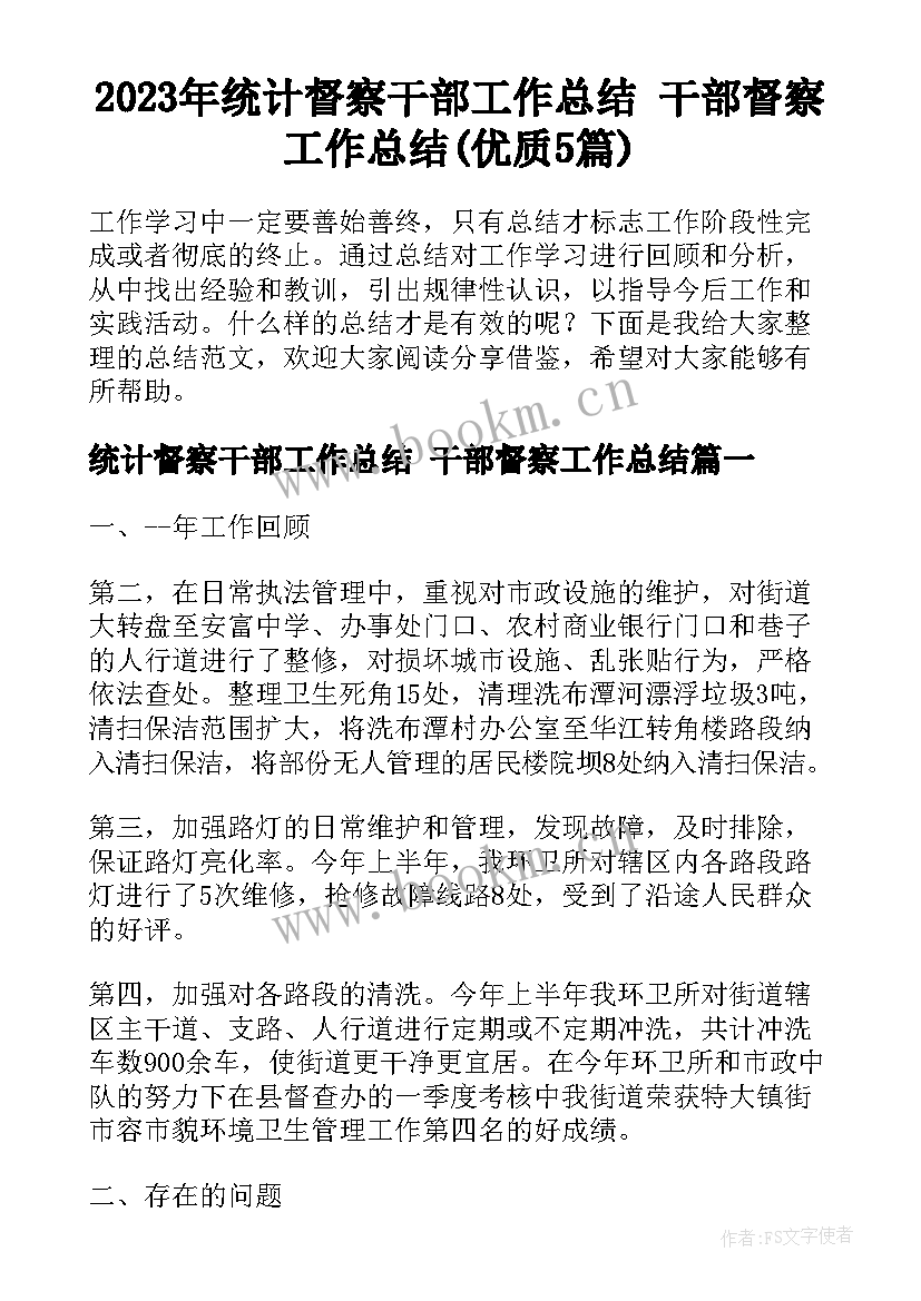 2023年统计督察干部工作总结 干部督察工作总结(优质5篇)