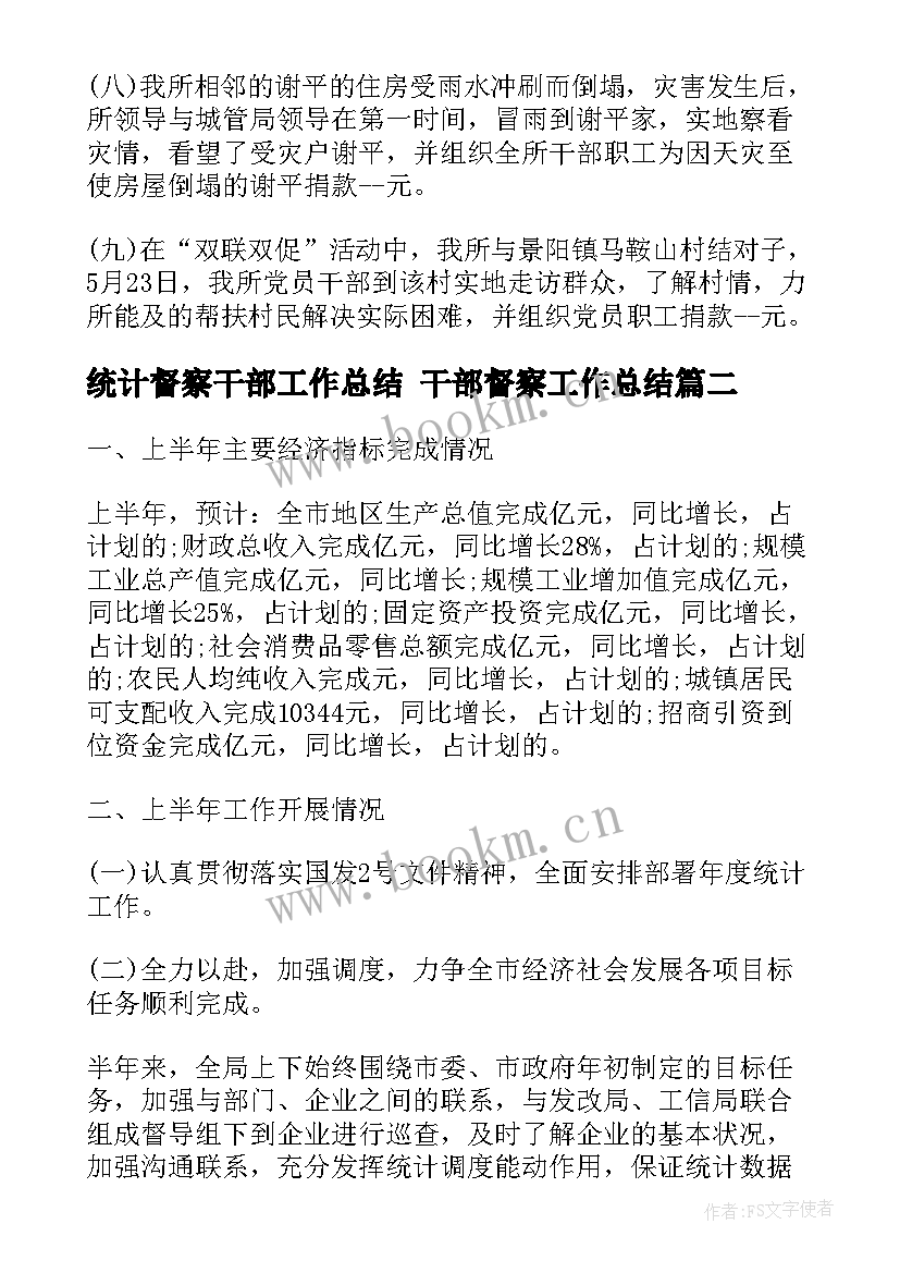 2023年统计督察干部工作总结 干部督察工作总结(优质5篇)