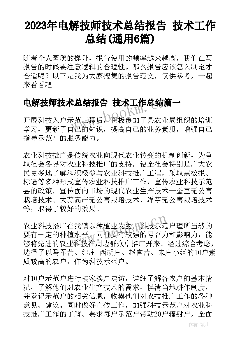 2023年电解技师技术总结报告 技术工作总结(通用6篇)