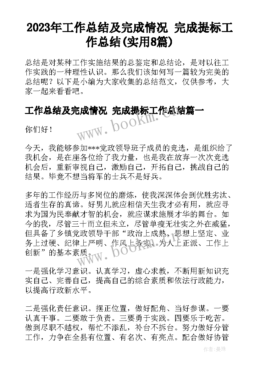 2023年工作总结及完成情况 完成提标工作总结(实用8篇)