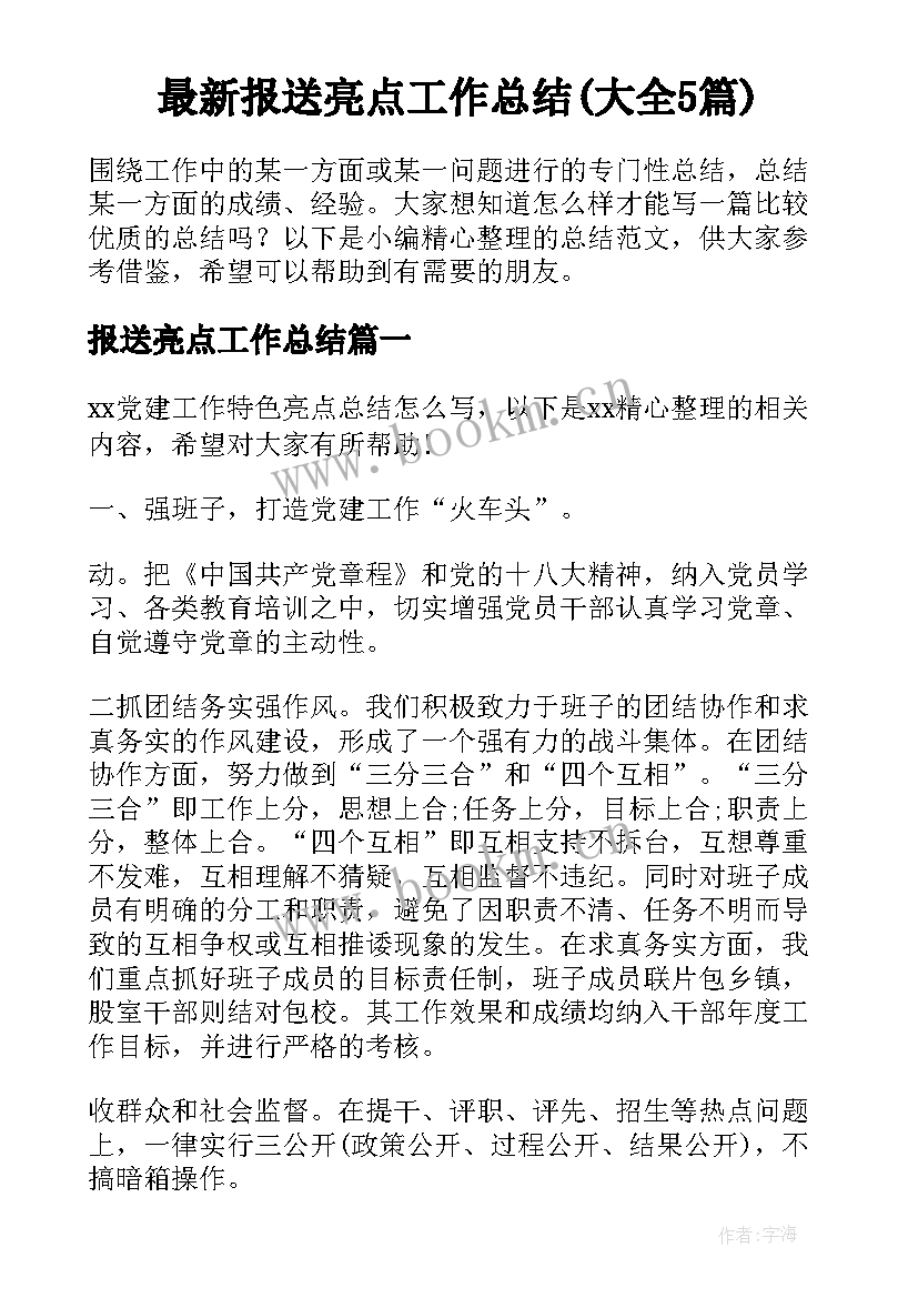 最新报送亮点工作总结(大全5篇)