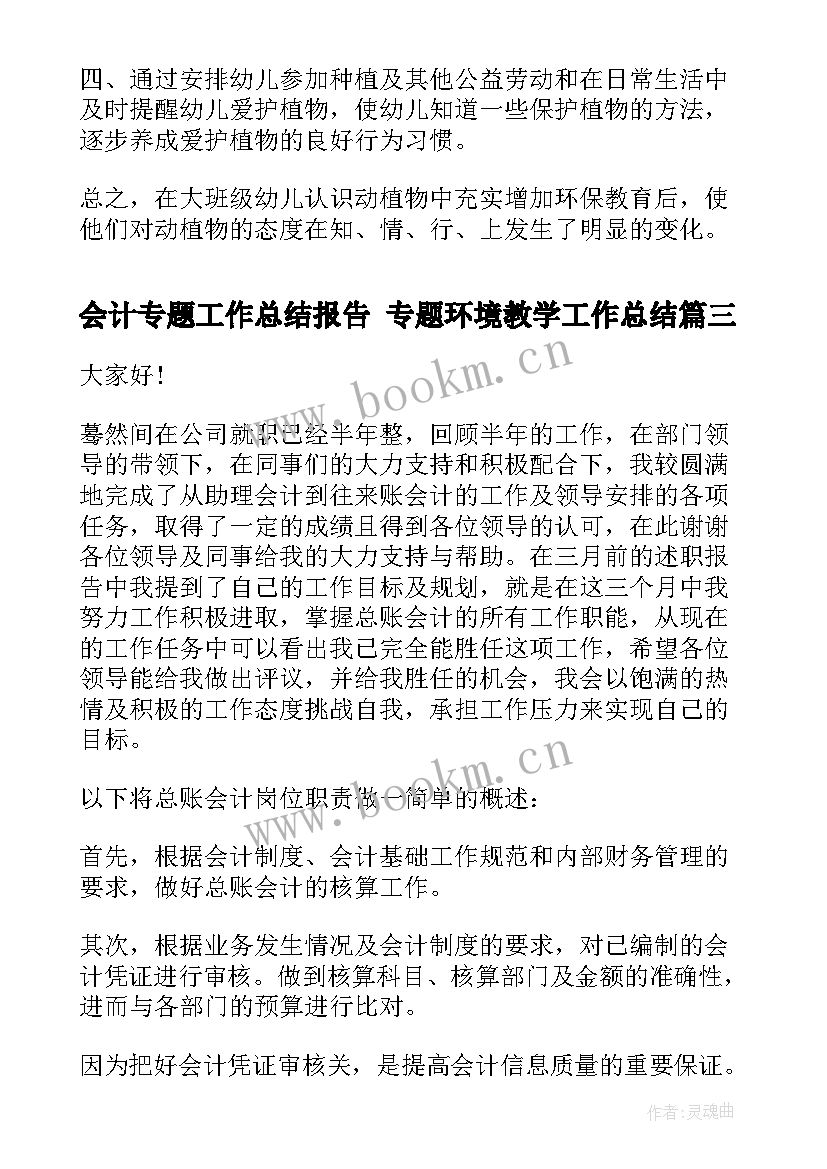 最新会计专题工作总结报告 专题环境教学工作总结(实用10篇)