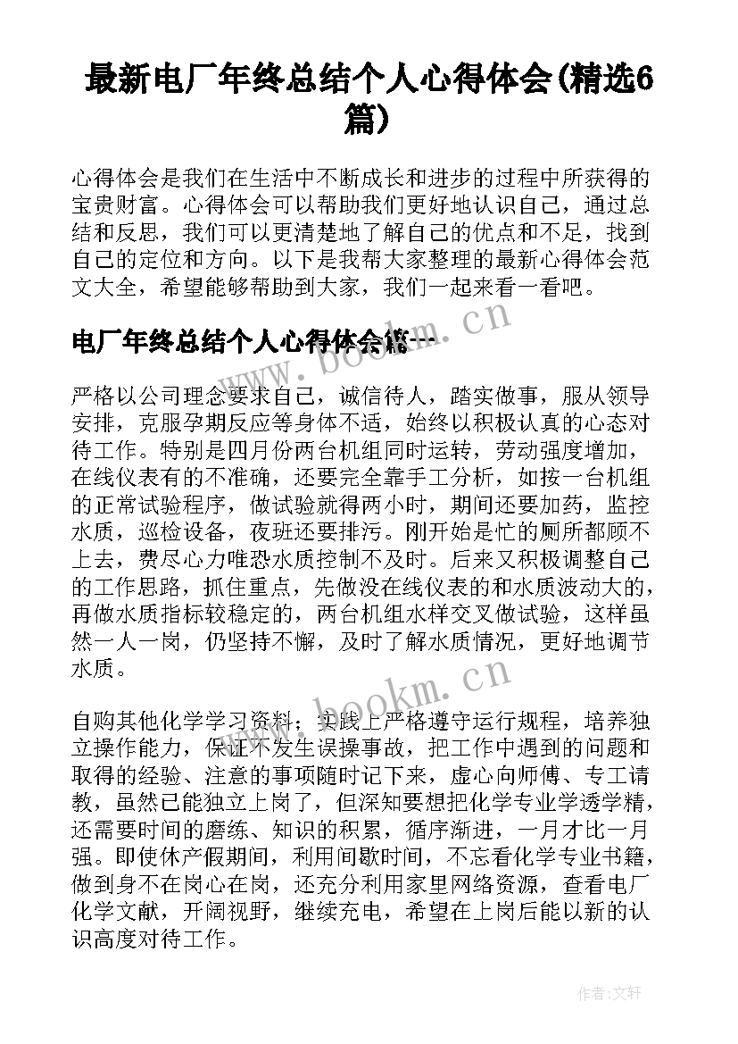 最新电厂年终总结个人心得体会(精选6篇)