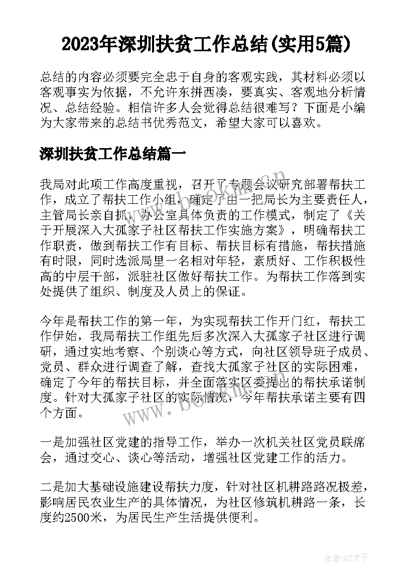 2023年深圳扶贫工作总结(实用5篇)