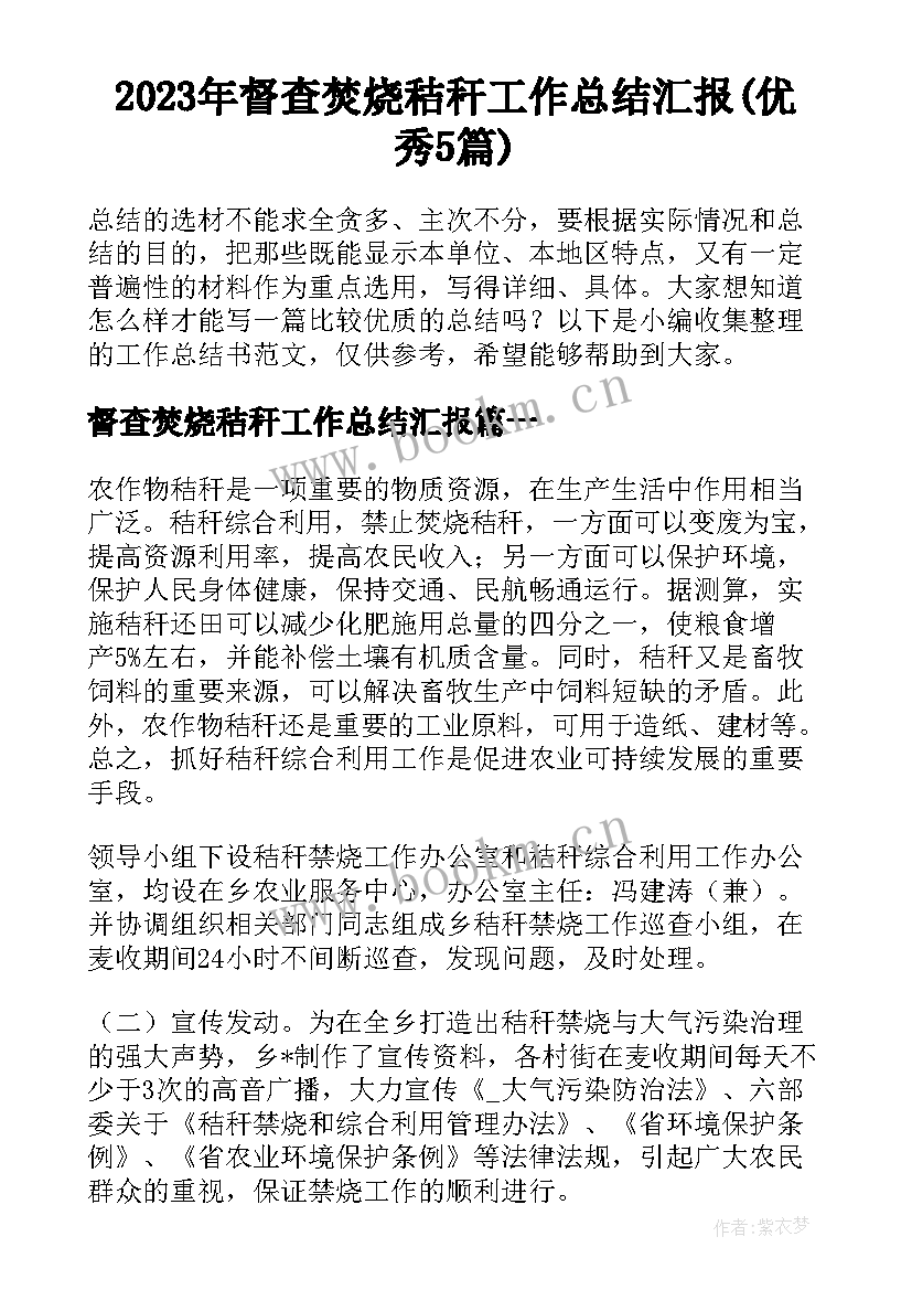 2023年督查焚烧秸秆工作总结汇报(优秀5篇)