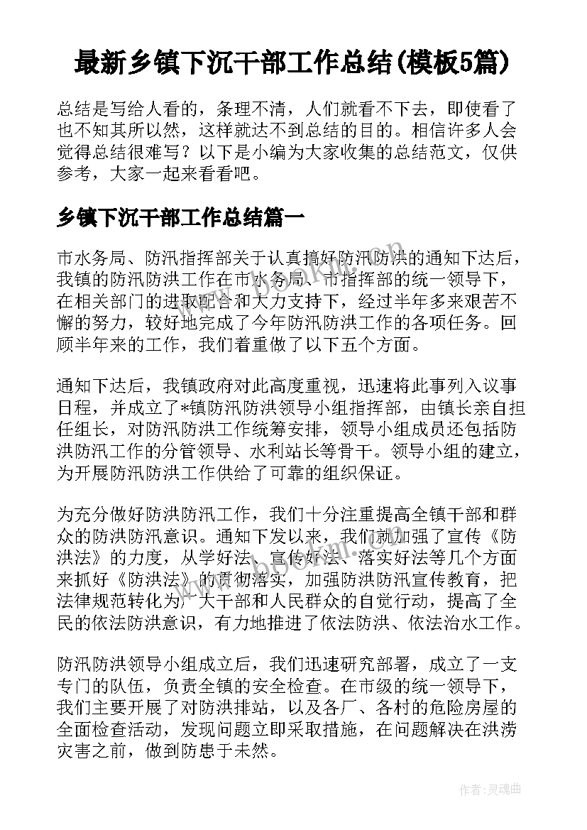 最新乡镇下沉干部工作总结(模板5篇)