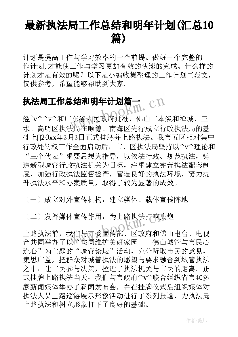 最新执法局工作总结和明年计划(汇总10篇)