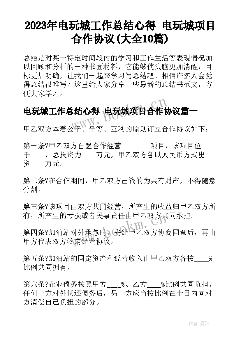 2023年电玩城工作总结心得 电玩城项目合作协议(大全10篇)