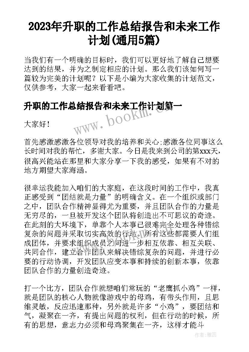 2023年升职的工作总结报告和未来工作计划(通用5篇)