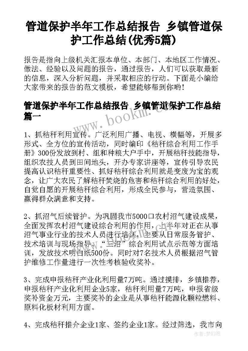 管道保护半年工作总结报告 乡镇管道保护工作总结(优秀5篇)