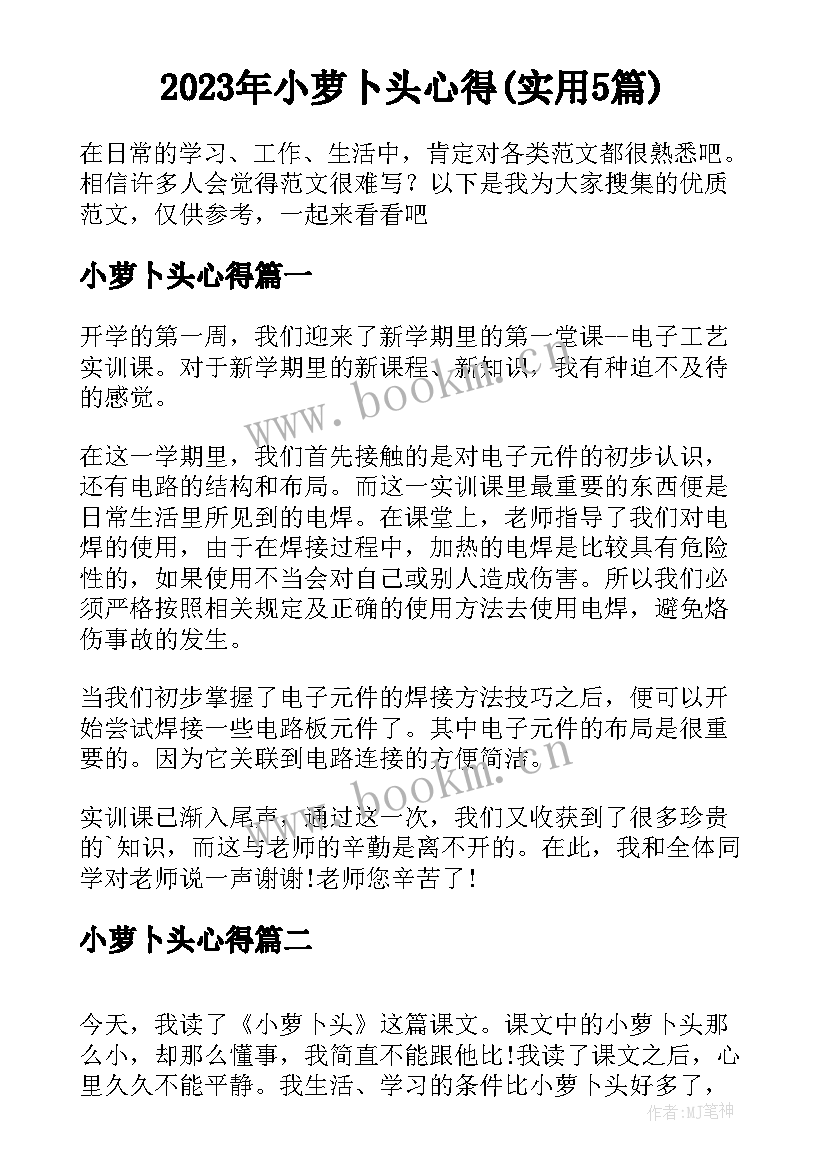 2023年小萝卜头心得(实用5篇)