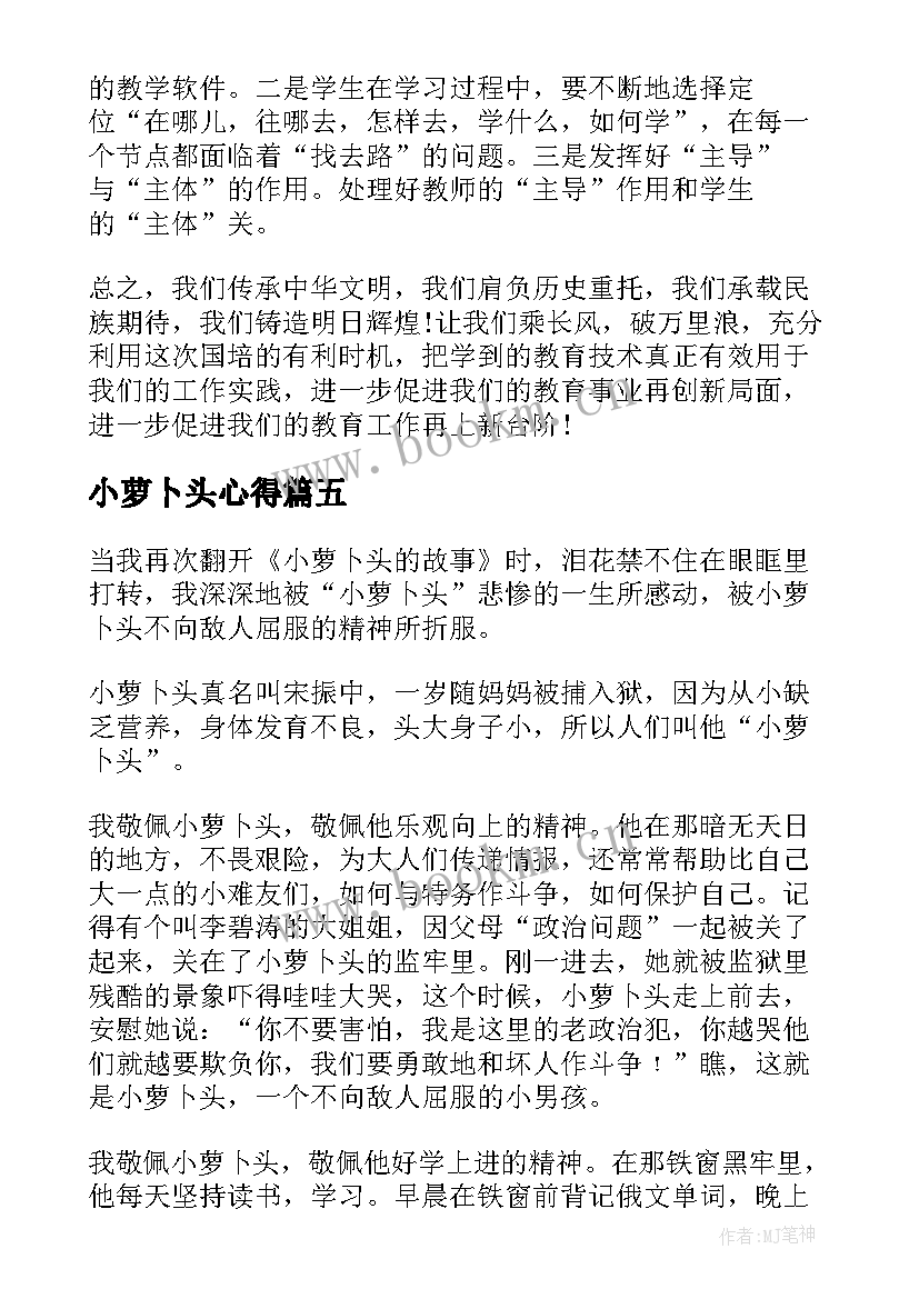 2023年小萝卜头心得(实用5篇)