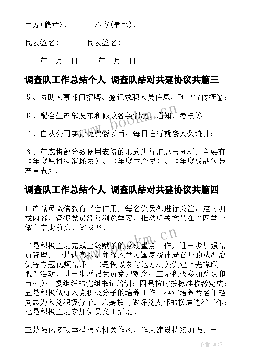 调查队工作总结个人 调查队结对共建协议共(汇总5篇)