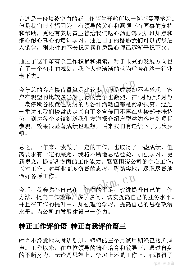 2023年转正工作评价语 转正自我评价(优秀5篇)