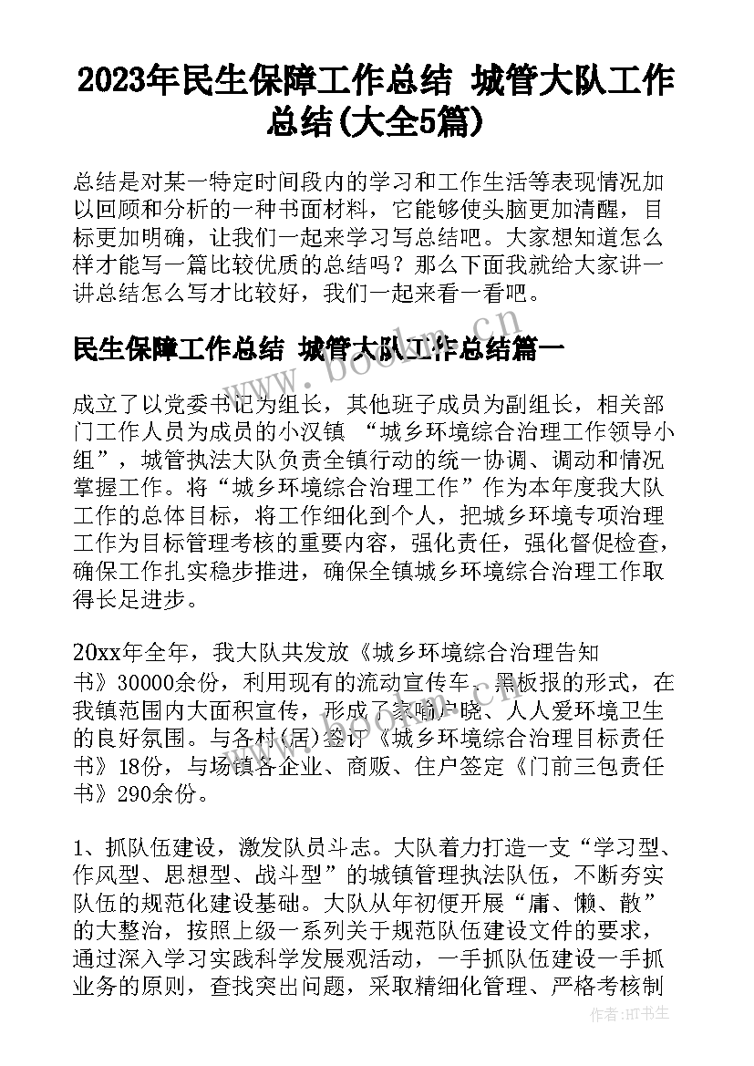 2023年民生保障工作总结 城管大队工作总结(大全5篇)